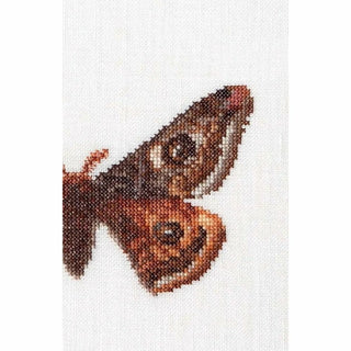Papillon Empereur 562 lin Thea Gouverneur