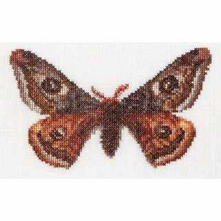 Papillon Empereur 562 lin Thea Gouverneur