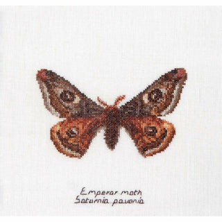 Papillon Empereur 562 lin Thea Gouverneur