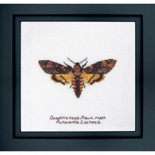 Papillon de nuit 563 lin Thea Gouverneur