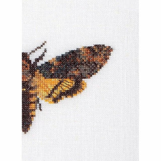 Papillon de nuit 563 lin Thea Gouverneur