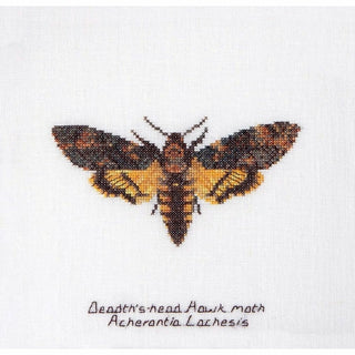 Papillon de nuit 563 lin Thea Gouverneur