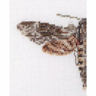 Papillon Sphinx tête de mort 564 lin Thea Gouverneur