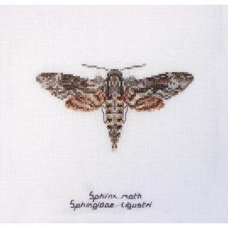 Papillon Sphinx tête de mort 564 lin Thea Gouverneur