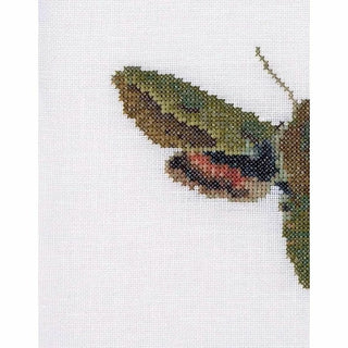Papillon de nuit Euphorbe 565 lin Thea Gouverneur