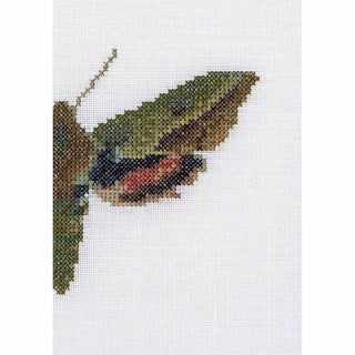 Papillon de nuit Euphorbe 565 lin Thea Gouverneur