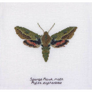 Papillon de nuit Euphorbe 565 lin Thea Gouverneur