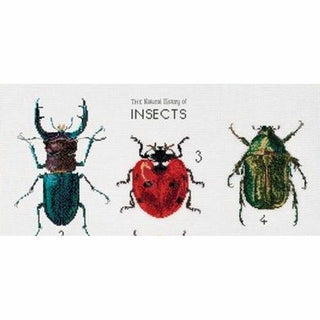 Histoire des Insectes 566 Aida Thea Gouverneur