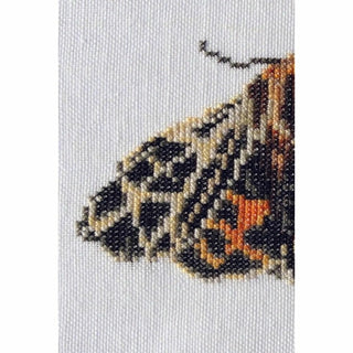 Papillon Tigre 569 Aida Thea Gouverneur