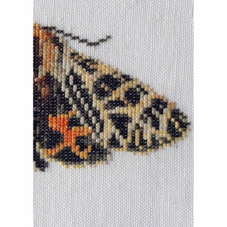 Papillon Tigre 569 Aida Thea Gouverneur