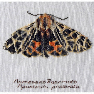 Papillon Tigre 569 lin Thea Gouverneur