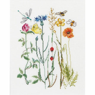 Fleurs sauvage 577 Aida Thea Gouverneur