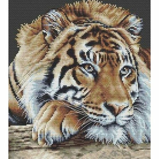 Tigre 579-05 Thea Gouverneur
