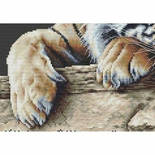 Tigre 579-05 Thea Gouverneur