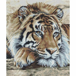Tigre 579 Aida Thea Gouverneur