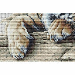 Tigre 579 lin Thea Gouverneur