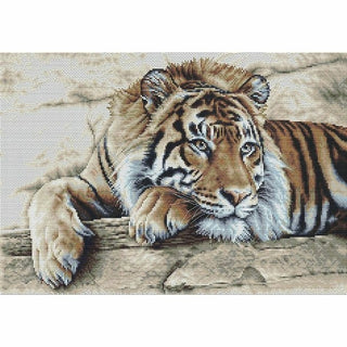 Tigre 579 lin Thea Gouverneur
