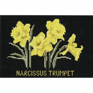 Narcisse 584-05 Thea Gouverneur