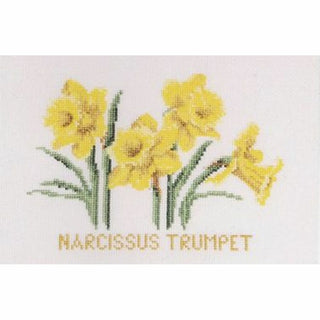 Narcisse 584 lin Thea Gouverneur