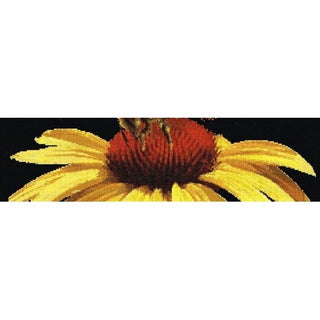 Abeille sur échinacée jaune 585-05 Thea Gouverneur