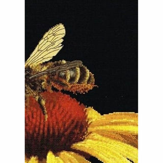 Abeille sur échinacée jaune 585-05 Thea Gouverneur