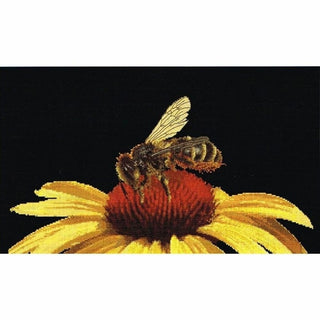 Abeille sur échinacée jaune 585-05 Thea Gouverneur