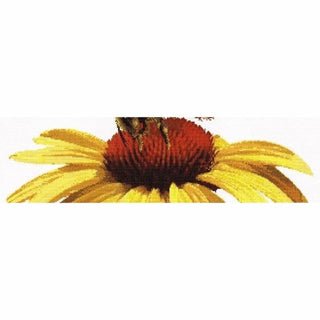 Abeille sur échinacée jaune 585 lin Thea Gouverneur