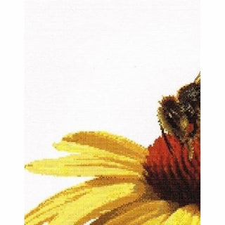 Abeille sur échinacée jaune 585 lin Thea Gouverneur