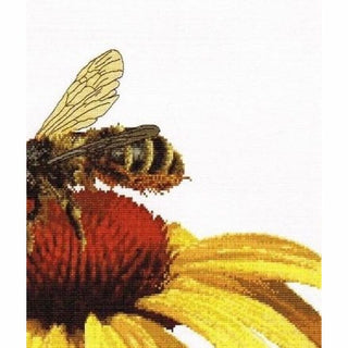 Abeille sur échinacée jaune 585 lin Thea Gouverneur