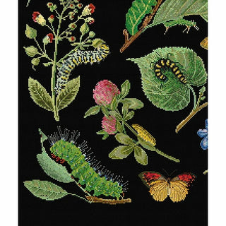 Chenilles Papillons 587-05 Thea Gouverneur