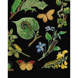 Chenilles Papillons 587-05 Thea Gouverneur