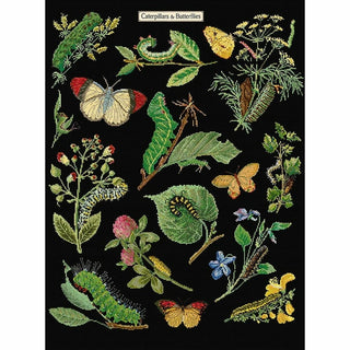 Chenilles Papillons 587-05 Thea Gouverneur