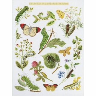 Chenilles Papillons 587 lin Thea Gouverneur