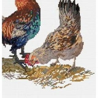 Rooster and Hen 591 Aida Thea Gouverneur