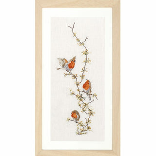 Rouge gorge 594 lin Thea Gouverneur