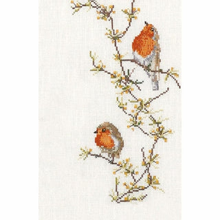 Rouge gorge 594 lin Thea Gouverneur