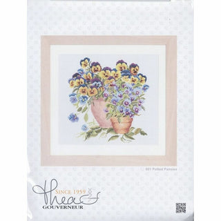 Pensées en pot 601 Aida Thea Gouverneur