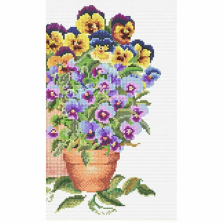 Pensées en pot 601 Aida Thea Gouverneur