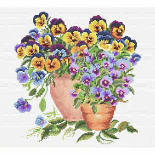 Pensées en pot 601 Aida Thea Gouverneur