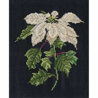 Poinsettia 604-05 Thea Gouverneur