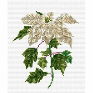 Poinsettia 604 lin Thea Gouverneur