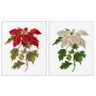 Poinsettia 604 Aida Thea Gouverneur