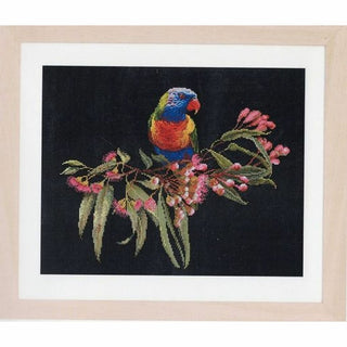 Loriquet 605-05 Thea Gouverneur