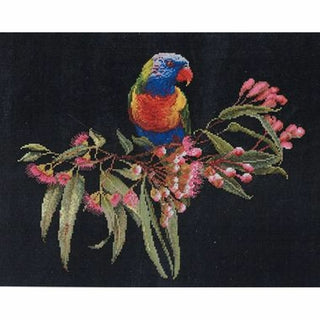 Loriquet 605-05 Thea Gouverneur