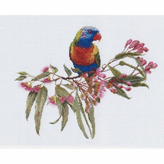 Loriquet 605 lin Thea Gouverneur