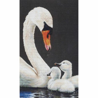 Cygne 606-05 Thea Gouverneur