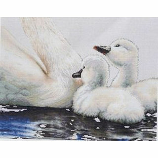 Cygne 606 lin Thea Gouverneur