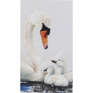 Cygne 606 Aida Thea Gouverneur