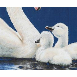 Cygne 607 Aida Thea Gouverneur