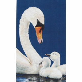 Cygne 607 Aida Thea Gouverneur